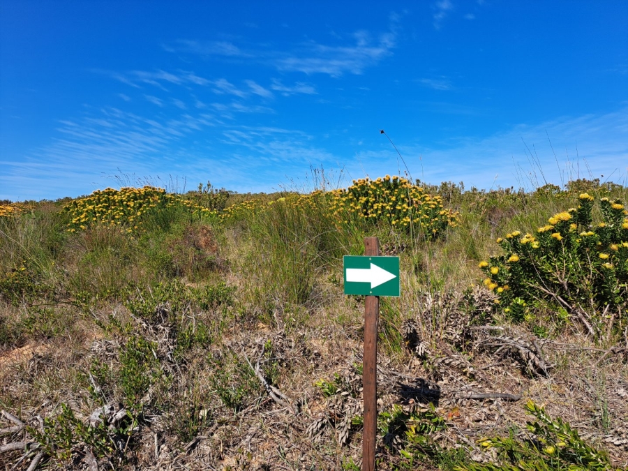 10 Bedroom Property for Sale in Stilbaai Rural Western Cape